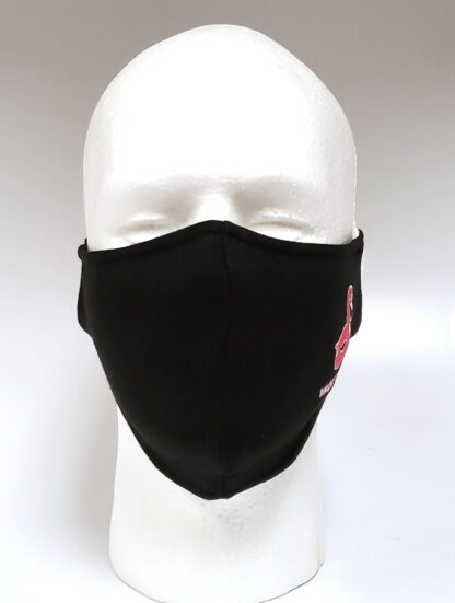 Embroidery Mask, Fashion Mask, Face Masks, Fabric Mask Washable Cotton Mask (Pink Swan)