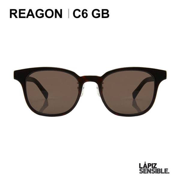 REAGON C6 GB