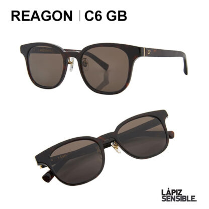 REAGON C6 GB